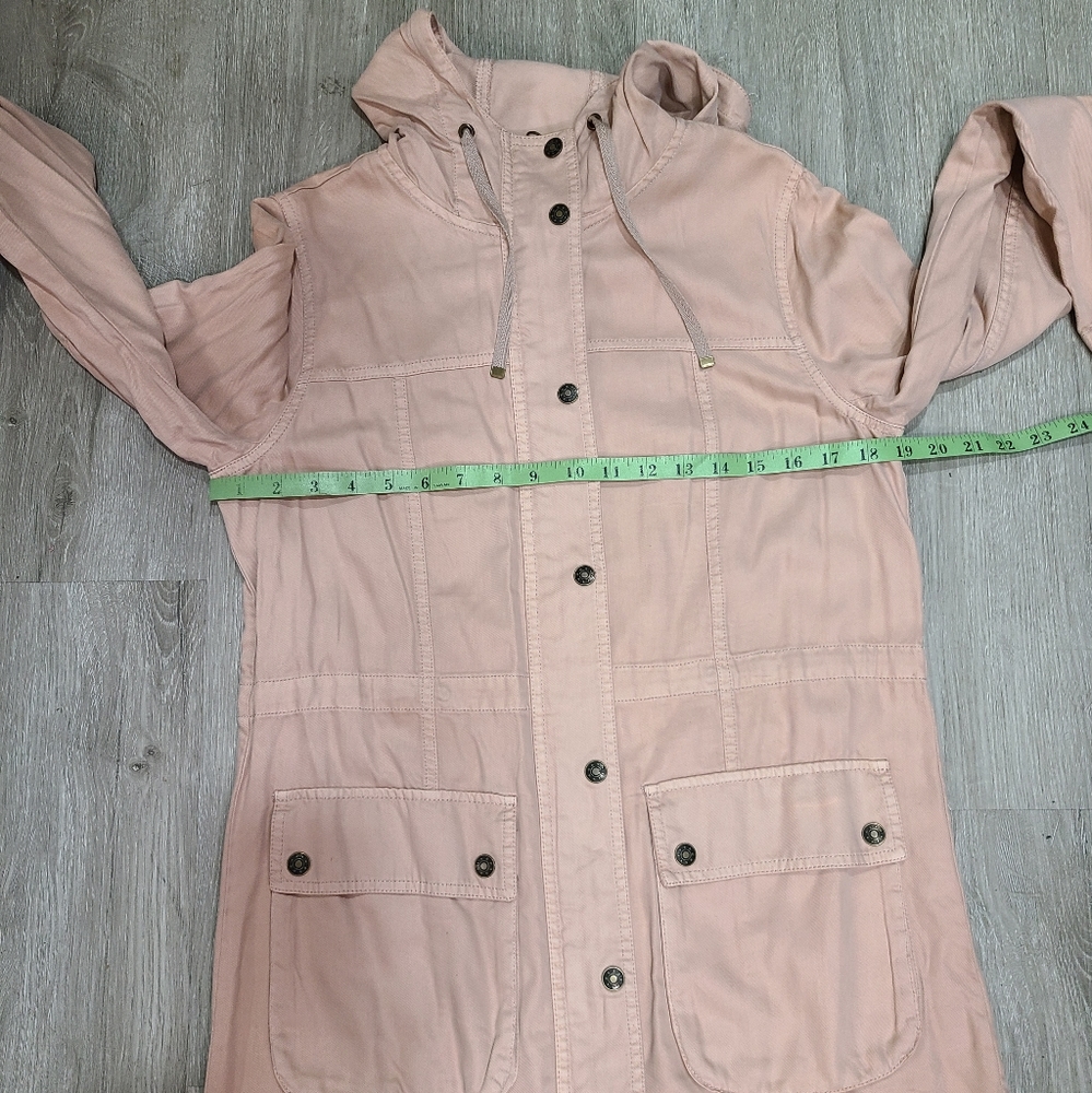 Sebby Collection - Picture 6 of 7